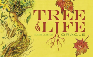 The Tree of Life Oracle Cards